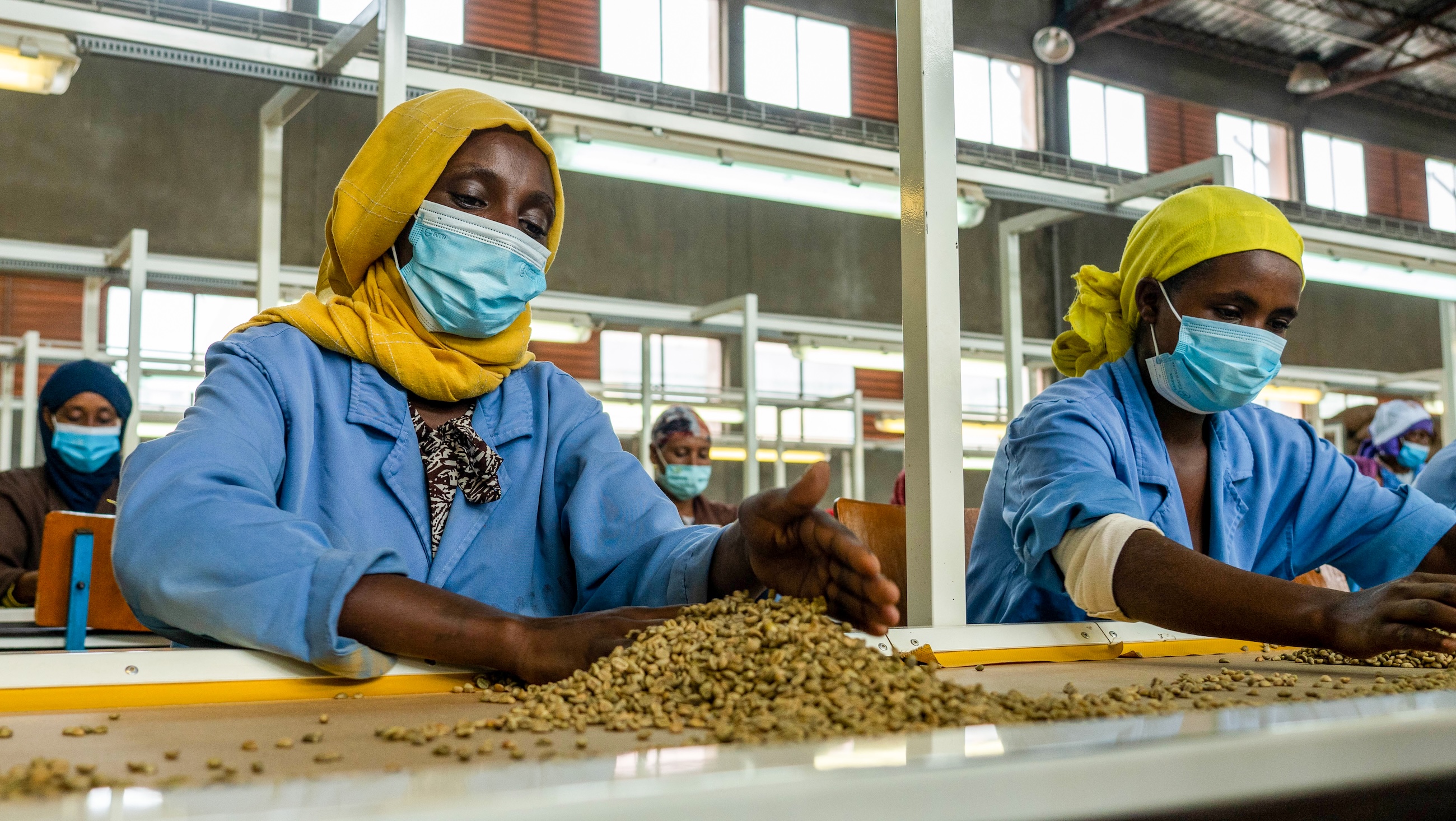 Creating Millions of Quality Jobs in Ethiopia